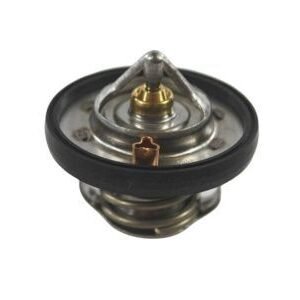 Only The Best For Your Car