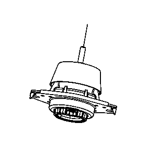 Only The Best For Your Car