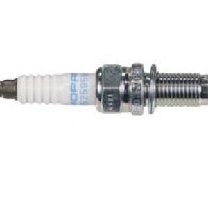 Only The Best For Your Car