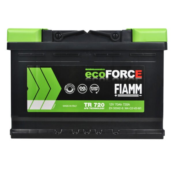 FIAMM VR950/L6
